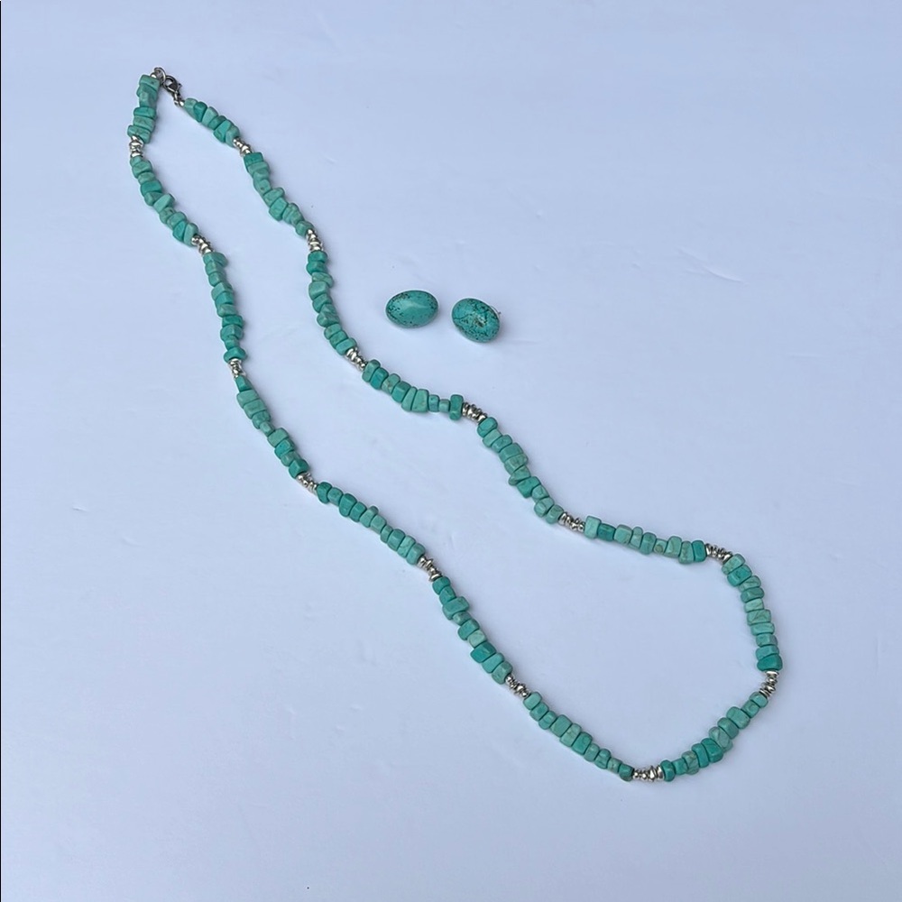 Turquoise Beaded Necklace and Earring Set